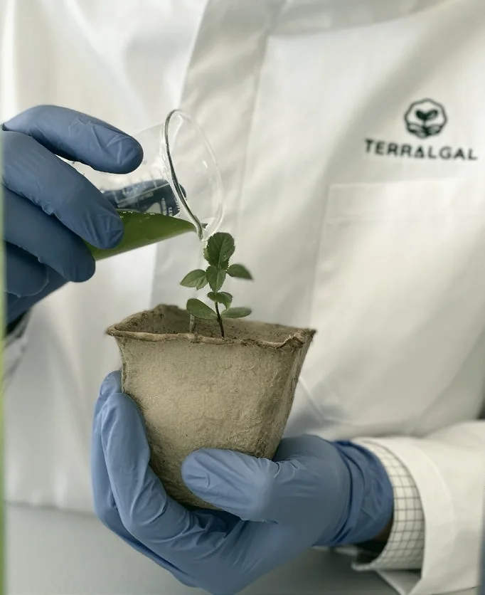 Terralgal researcher